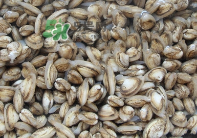 海瓜子煮多久能熟？海瓜子為什么放在水里殼不張開(kāi)