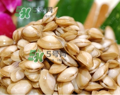 海瓜子怎么養(yǎng)？如何挑選海瓜子