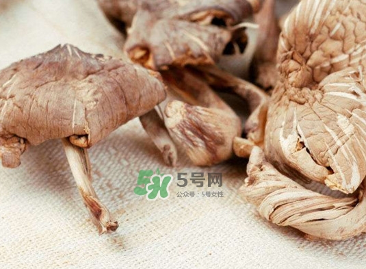 雞樅菌怎么讀？雞樅菌怎么做好吃？
