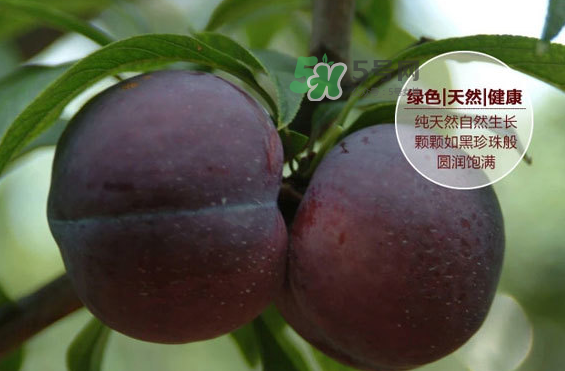 黑布林什么時(shí)候吃最好？黑布林什么人不能吃？