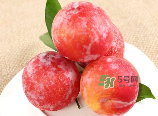 紅布林孕婦可以吃嗎？孕婦可以吃紅布林嗎？