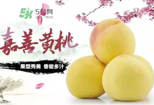 嘉善黃桃多少錢一斤？嘉善黃桃的上市時間