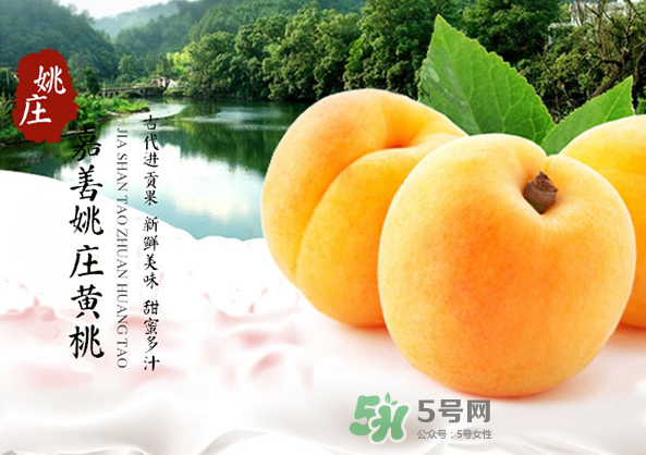 嘉善黃桃多少錢一斤？嘉善黃桃的上市時間