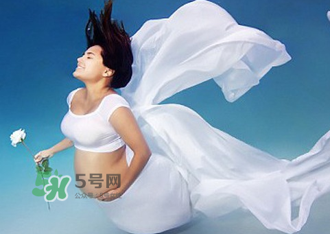 家里有寵物狗對(duì)孕婦好嗎？懷孕了家里有寵物要緊嗎？