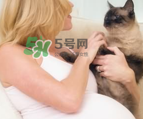 孕婦被貓抓了怎么辦？孕婦被貓抓傷了對寶寶有什么影響？