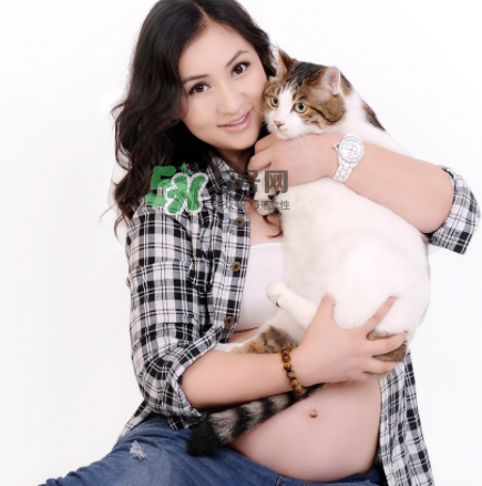 孕婦被貓抓了怎么辦？孕婦被貓抓傷了對寶寶有什么影響？