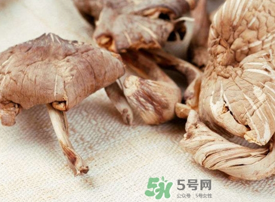 雞樅菌有毒嗎？雞樅菌不能和什么一起吃？