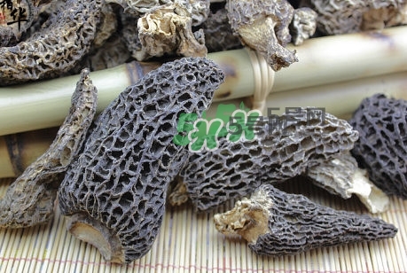 羊肚菌最大產(chǎn)地是哪兒？羊肚菌怎么泡發(fā)