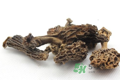 羊肚菌能治什么病？羊肚菌能冷凍保鮮嗎