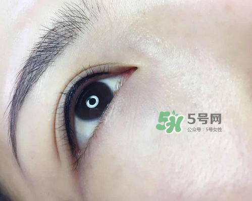 美瞳線有幾種款式？美瞳線有小尾巴嗎？