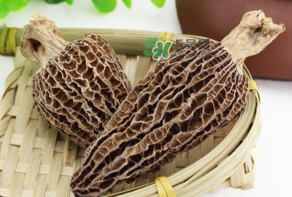 羊肚菌為什么那么貴？羊肚菌為什么這么貴