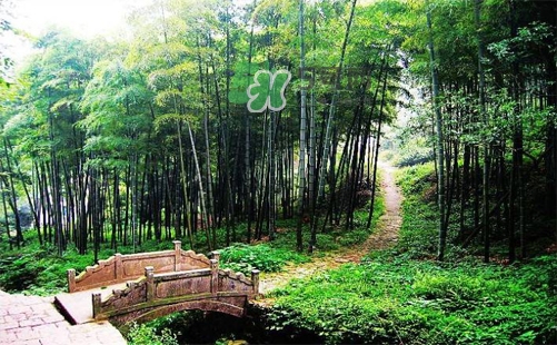 夏天去哪里旅游最好？夏天旅游哪里涼快？