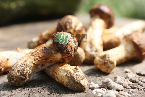 新鮮松茸怎么吃？松茸怎么吃最有營養(yǎng)