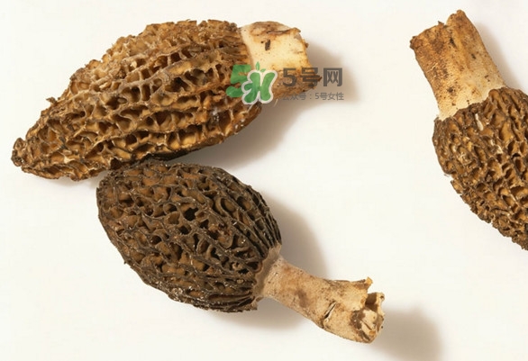 羊肚菌可以泡茶喝嗎？羊肚菌可以生吃嗎