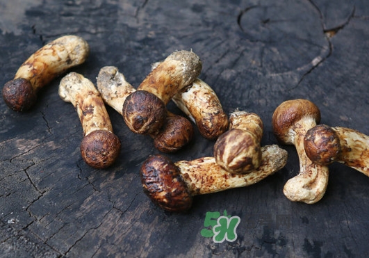 新鮮松茸怎么吃？松茸怎么吃最有營養(yǎng)