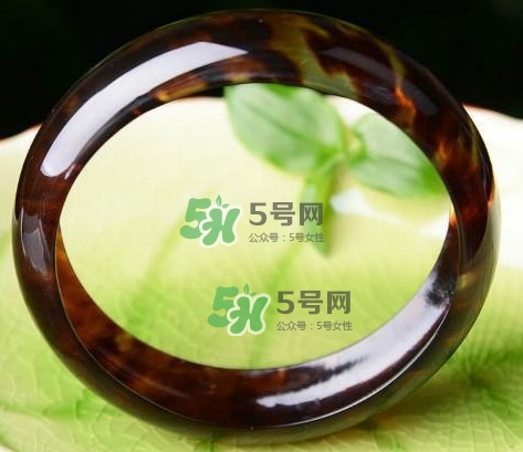 玳瑁是什么？玳瑁是國(guó)家保護(hù)動(dòng)物嗎？