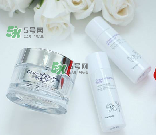 vinistyle是什么檔次？vinistyle怎么樣？