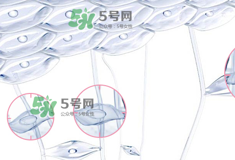 嬌韻詩青春賦活兩件套裝多少錢？嬌韻詩全新青春賦活系列怎么樣？