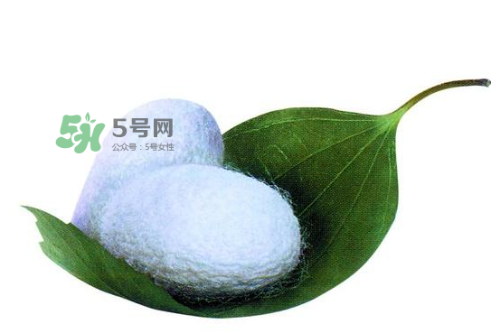 蠶繭多少錢一斤2017？2017年蠶繭價(jià)格是多少？