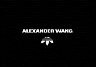 adidas originals by alexander wang聯(lián)名系列在哪買_怎么買？
