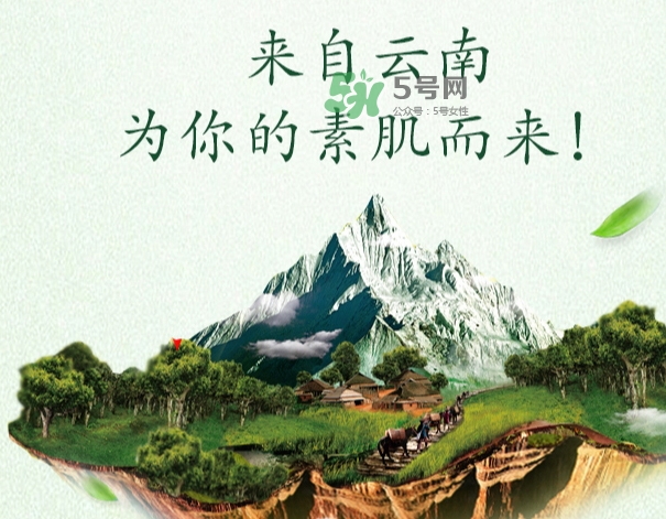 采之汲是什么牌子？采之汲是什么檔次？