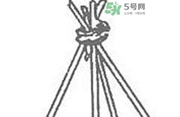 缸豆什么時(shí)候搭架？缸豆要怎樣搭架子