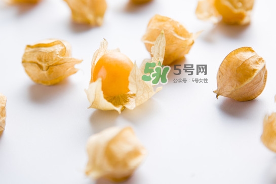 菇娘是寒性還是熱性？菇娘是哪里產(chǎn)的