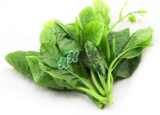 木耳菜怎么清洗？木耳菜怎么擇？