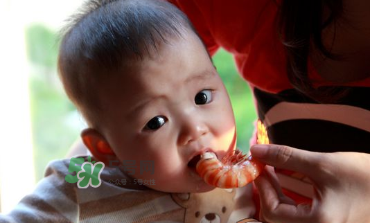 寶寶吃蝦不能和什么一起吃？寶寶吃蝦的注意事項(xiàng)