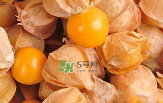 姑娘果怎么挑選？姑娘果產(chǎn)地在什么地方