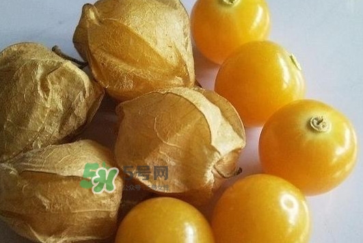 菇娘果皮有用還是果實(shí)有用？紅菇娘泡水喝用皮還是用果
