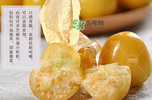 菇娘是寒性還是熱性？菇娘是哪里產(chǎn)的