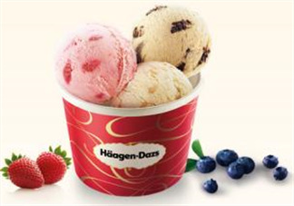 哈根達(dá)斯(H?agen-Dazs)柚子芝士蛋糕多少錢_好吃嗎？