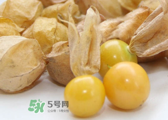 黃菇娘幾月種植？黃菇娘的種植注意事項(xiàng)
