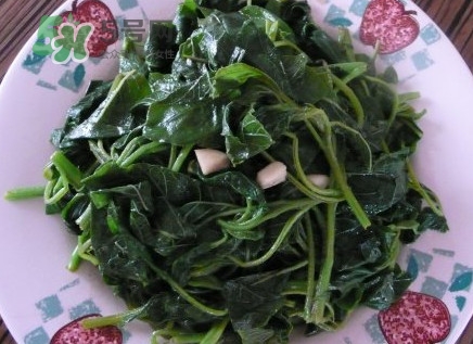 野莧菜有毒嗎？野莧菜怎么吃