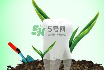種植牙多少錢(qián)一顆？為什么種植牙很貴