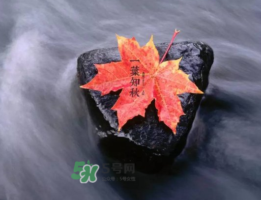 2017早立秋還是晚立秋？早立秋和晚立秋的區(qū)別