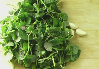 野莧菜怎么做好吃？野莧菜怎么保存