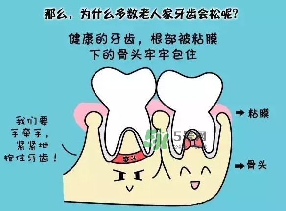 牙齒松動(dòng)會(huì)自己好嗎？牙齒松動(dòng)會(huì)自己掉嗎