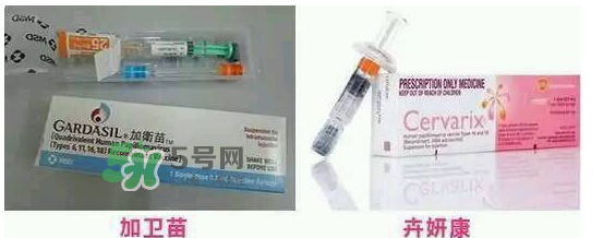 hpv疫苗9價(jià)4價(jià)2價(jià)有什么區(qū)別？hpv疫苗三款應(yīng)該怎么選？