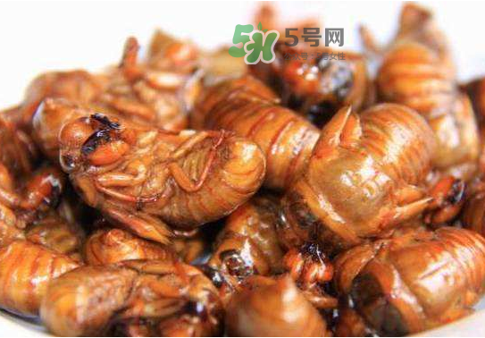 立秋后的知了還能吃嗎？立秋還有知了猴嗎？