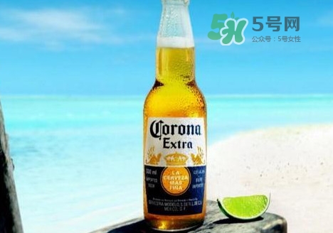 科羅娜啤酒多少錢一瓶？科羅娜啤酒好喝嗎
