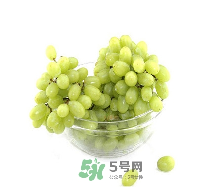 馬奶葡萄是提子嗎？馬奶葡萄怎么洗？