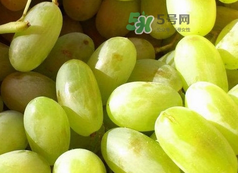 馬奶葡萄是提子嗎？馬奶葡萄怎么洗？