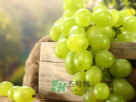 馬奶葡萄幾月成熟？吃馬奶葡萄有什么好處？