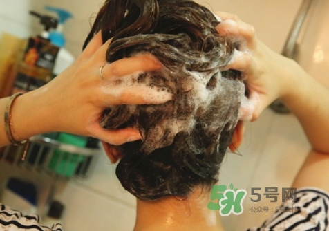 hair recipe水果洗發(fā)水怎么樣？hair recipe洗發(fā)水哪款好用