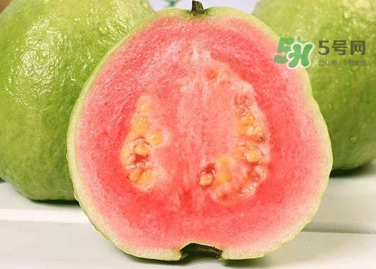 紅芭樂怎么吃？芭樂是熱的還是涼的