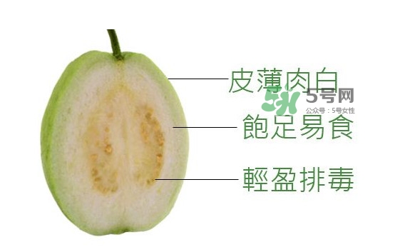 芭樂是什么季節(jié)的水果？芭樂什么時候吃最好