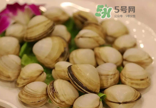 花蛤可以放冰箱冷凍嗎？花蛤放冰箱保鮮能吃嗎？