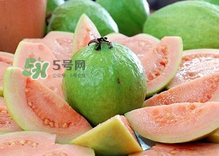 芭樂皮能吃嗎？芭樂皮可以吃嗎